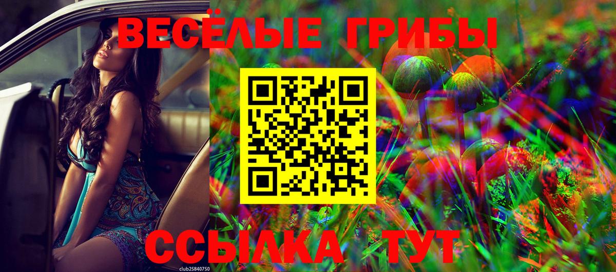 Псилоцибиновые грибы Cubensis Будённовск