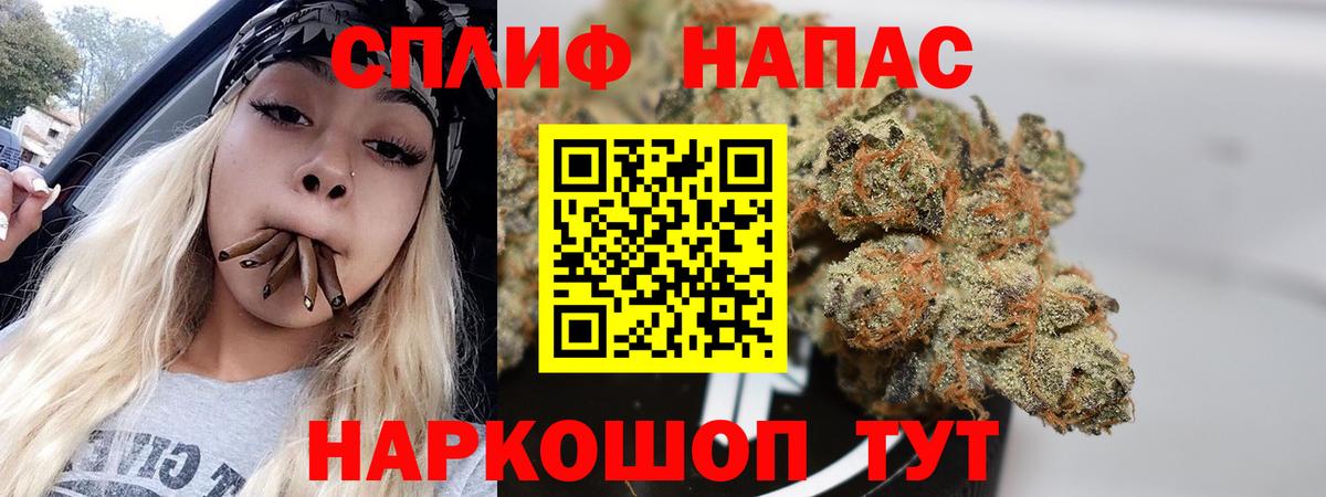 Конопля MAZAR Будённовск